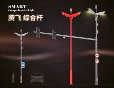 腾飞-共杆 腾飞-共杆